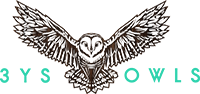 3YS Owls Corporate Governance